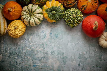 Image showing Different kinds colorful mini pumpkins placed on rusty background