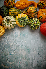 Image showing Different kinds colorful mini pumpkins placed on rusty background