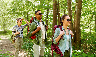 Image showing group of friends with backpacks hiking in forest