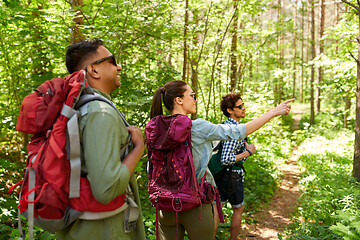 Image showing group of friends with backpacks hiking in forest