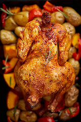 Image showing Delicious whole chicken cooked with pumpkin, pepper and potatoes. Served in metal baking pan.