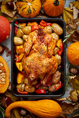 Image showing Roasted whole chicken or turkey with pumpkins, pepper and potatoes. With colorful mini pumpkins