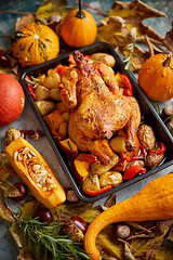 Image showing Roasted whole chicken or turkey with pumpkins, pepper and potatoes. With colorful mini pumpkins