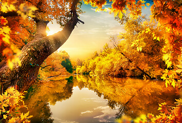 Image showing Orange autumn on pond