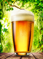 Image showing Glass of light beer