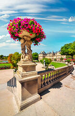 Image showing Flowers in the park