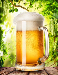 Image showing Mug of light beer