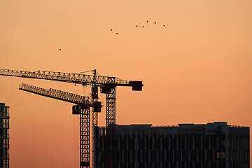 Image showing Tall Construction Cranes