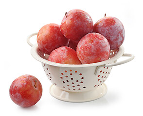 Image showing ripe red wet plums in colander