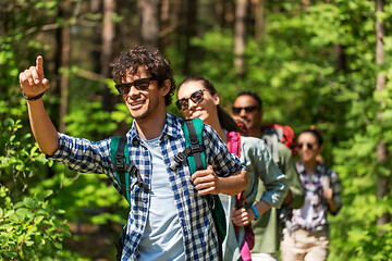 Image showing group of friends with backpacks hiking in forest