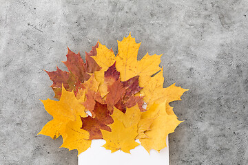 Image showing autumn maple leaves with envelope on grey stone