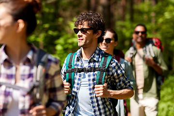 Image showing group of friends with backpacks hiking in forest