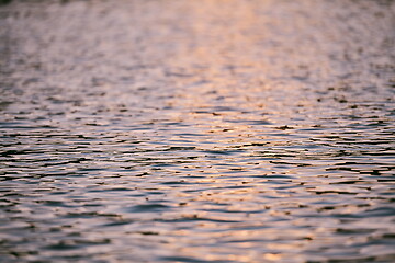 Image showing triathlon athlete swimming on lake in sunrise wearing wetsuit