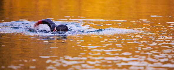 Image showing triathlon athlete swimming on lake in sunrise wearing wetsuit