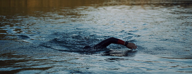 Image showing triathlon athlete swimming on lake in sunrise wearing wetsuit