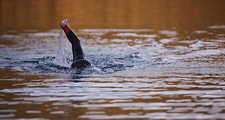 Image showing triathlon athlete swimming on lake in sunrise wearing wetsuit