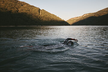 Image showing triathlon athlete swimming on lake in sunrise wearing wetsuit