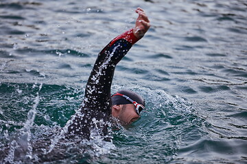 Image showing triathlon athlete swimming on lake in sunrise wearing wetsuit