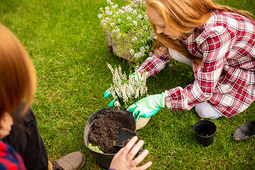 Image showing Happy brother and sister planting in a garden outdoors together