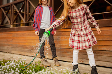 Image showing Happy brother and sister watering plants in a garden outdoors together