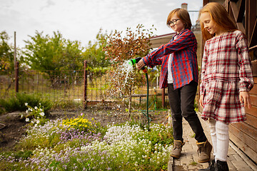 Image showing Happy brother and sister watering plants in a garden outdoors together