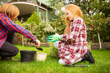 Image showing Happy brother and sister planting in a garden outdoors together