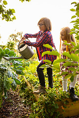 Image showing Happy brother and sister watering plants in a garden outdoors together