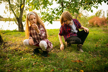 Image showing Happy brother and sister planting in a garden outdoors together