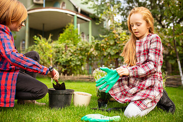 Image showing Happy brother and sister planting in a garden outdoors together