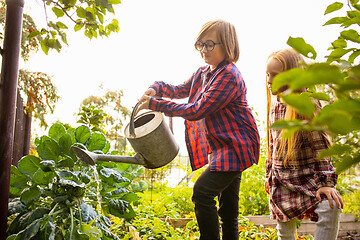 Image showing Happy brother and sister watering plants in a garden outdoors together