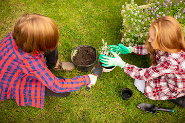 Image showing Happy brother and sister planting in a garden outdoors together