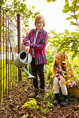 Image showing Happy brother and sister watering plants in a garden outdoors together