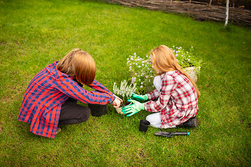 Image showing Happy brother and sister planting in a garden outdoors together