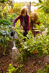 Image showing Happy brother and sister watering plants in a garden outdoors together