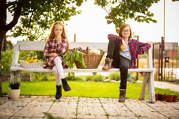 Image showing Happy brother and sister with bucket of seasonal food in a garden outdoors together