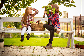 Image showing Happy brother and sister with bucket of seasonal food in a garden outdoors together