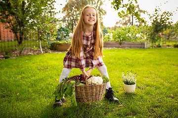 Image showing Happy little girl with bucket of seasonal food in a garden outdoors
