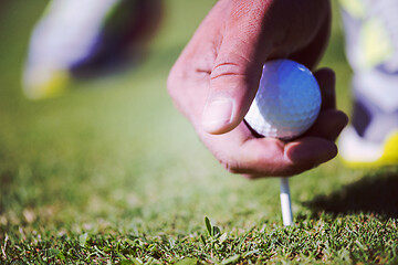 Image showing golf player placing ball on tee