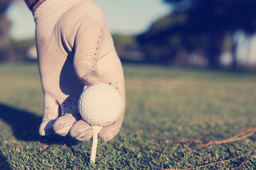 Image showing close up of golf players hand placing ball on tee
