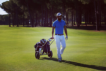 Image showing golf player walking with wheel bag