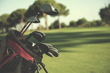 Image showing close up golf bag on course