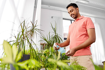 Image showing man spraying houseplant with water at home