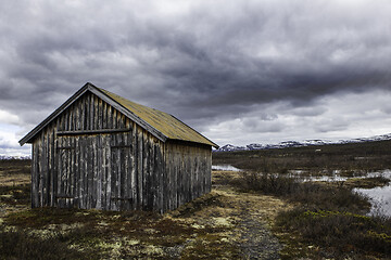 Image showing Dovrefjell, Norway
