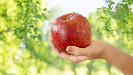 Image showing close up of hand holding ripe red apple