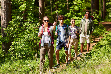 Image showing group of friends with backpacks hiking in forest