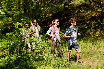 Image showing group of friends with backpacks hiking in forest