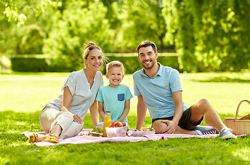 Image showing portrait of family having picnic at summer park