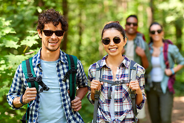 Image showing group of friends with backpacks hiking in forest