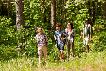 Image showing group of friends with backpacks hiking in forest