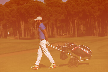 Image showing golf player walking with wheel bag